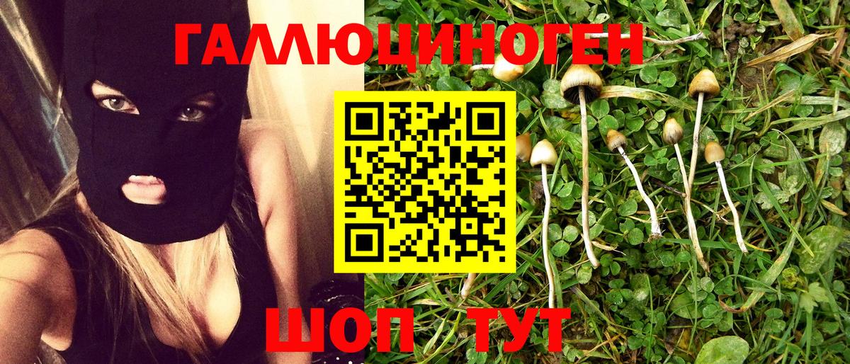 Ишим  Галлюциногенные грибы мухоморы  Вход с VPN  наркошоп  Псилоцибиновые грибы GOLDEN TEACHER 